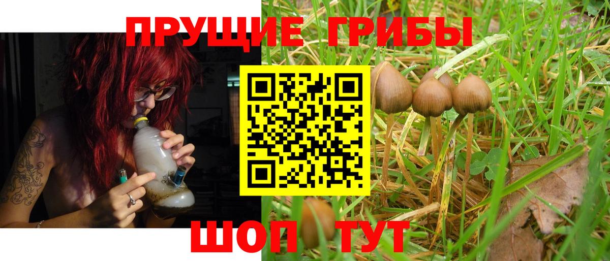 Псилоцибиновые грибы MAGIC MUSHROOMS Городец