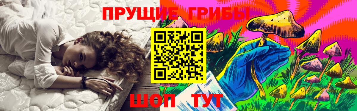 Городец  Галлюциногенные грибы Psilocybe  Вход с VPN  Галлюциногенные грибы GOLDEN TEACHER 